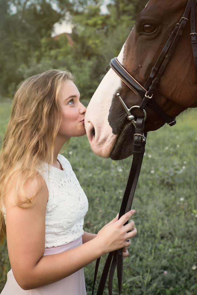Horse photograph before customisation